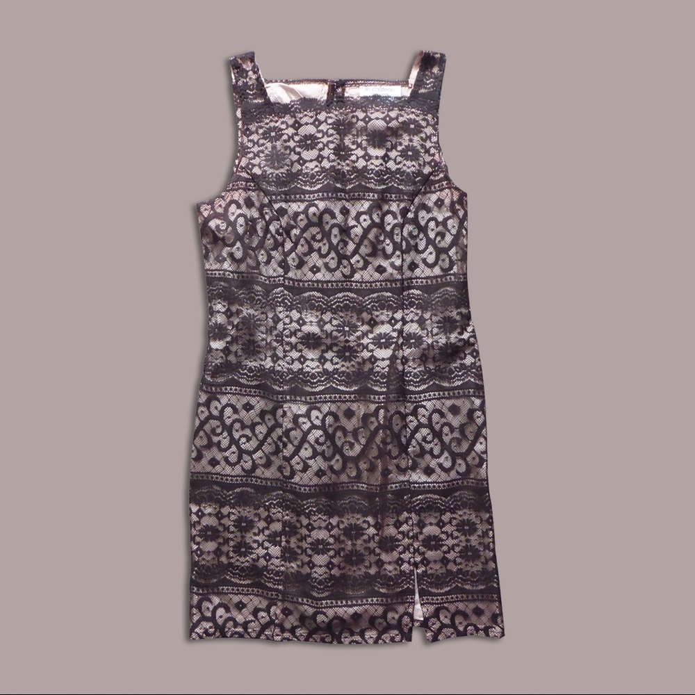 Le Château Brown Lace Sheath Dress